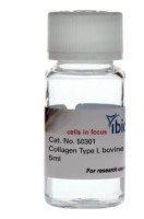 50302 Collagen Type I, bovine, 5 mg/ml, 4 x 5 ml: non-pepsinized ( 4 pcs/pkg )